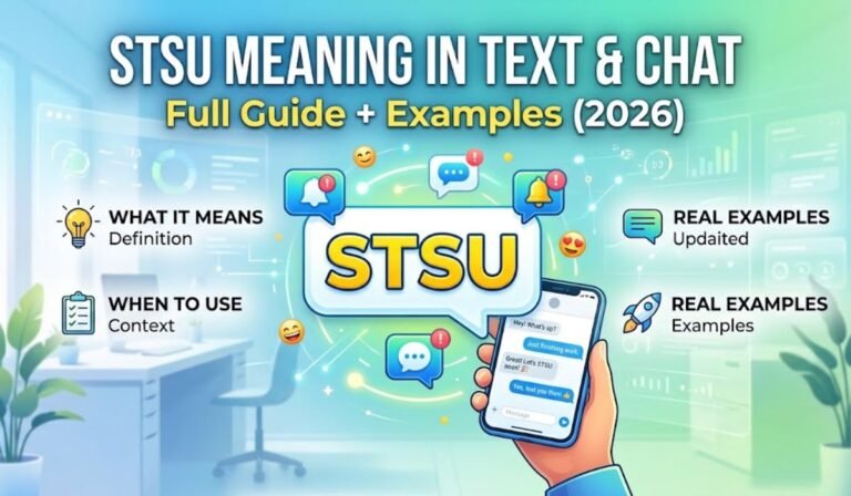 STSU Meaning in Text